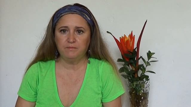 ПАНАМА/ДЕНГЕ/Что За БОЛЕЗНЬ?/СИМПТОМЫ/КАК ЛЕЧИЛАСЬ смотреть онлайн