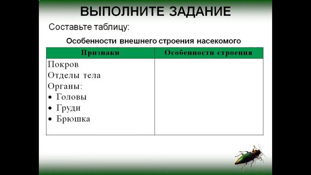 Внешнее и внутреннее строение насекомого смотреть онлайн