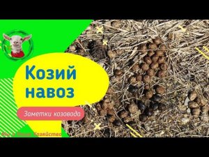 Навоз как удобрение или 100% успеха