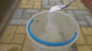 СОДА - СПАСИТЕЛЬ ВАШЕГО ОГОРОДА! СОДА ПРОТИВ ВРЕДИТЕЛЕЙ И БОЛЕЗНЕЙ!