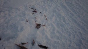 Зимняя рыбалка в Якутии на р. Синяя