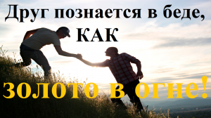 Друг познается в беде, как золото в огне!#песня#музыка#другкакбрат#другпознаетсявбедекакзолотовогне
