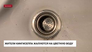 Жители Кингисеппа жалуются на цветную воду