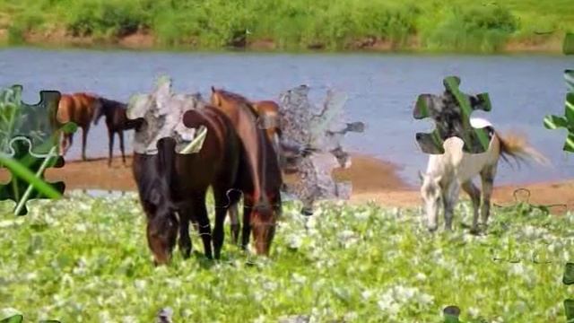 Devetyarov_N.K._film_Viatka land.avi смотреть онлайн