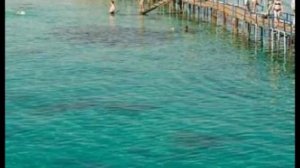 Отель EL SAMAKA BEACH 3* Хургада Египет