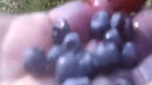 что тебе надо грешный человече ...