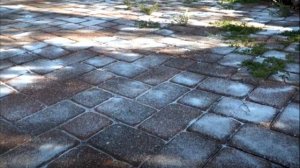 Как без труда избавиться от сорняков, прорастающих сквозь плитку на дорожке