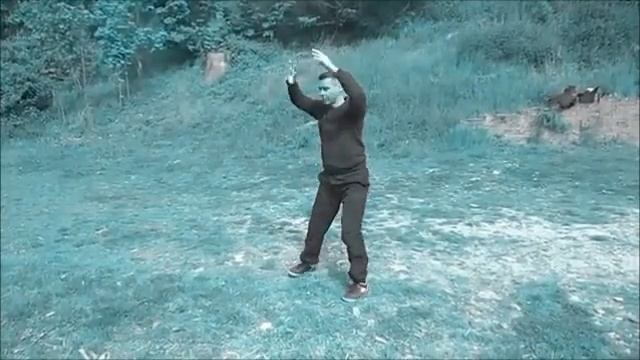 David Ameo45 Quatrième section Zhen zong taiji quan vue de dos смотреть онлайн