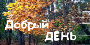 Музыкальное Пожелание Доброго Дня