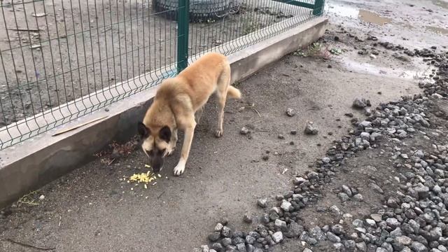 Санкт-Петербург-Череповец. Город тысячи труб смотреть онлайн