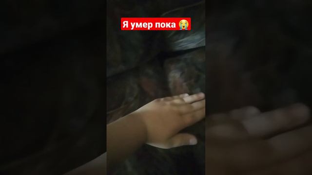 😭😭😭😭😭😭😭😭😭😭😭😭😭😭😭😭 Это последнее видео Всем пока Может  ответить  комментарии  ответить 20 раз и всё