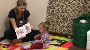 Занятие карточками  раннего развития по методике Глена Домана