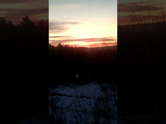 25 марта 2023 г. смотреть онлайн