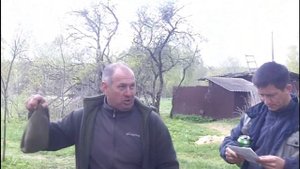 Испытание лаек по медведю и кабану.
