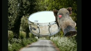 Кабан барабан/boar drum