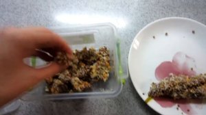 ПЕЧЕНЬЕ ДЛЯ КРЫС СВОИМИ РУКАМИ || DIY