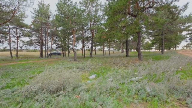 AVATA первый полет и первые впечатления и выводы...