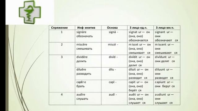 Глагол  Словарная форма