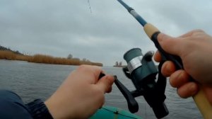 Ловля плотвы на бортовые удочки в декабре