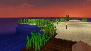 Тростник НЕ РАСТЁТ в Майнкрафте  Minecraft