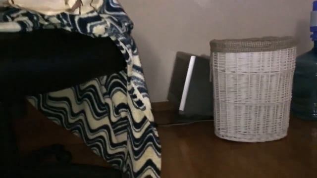 Стрижка шотландского кота не понравилась его кошке Хамсе))) Нарядный и нелюбимый кот ТОМ ))) смотреть онлайн