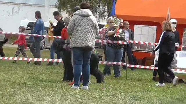 ПК2020 класс бритых смотреть онлайн