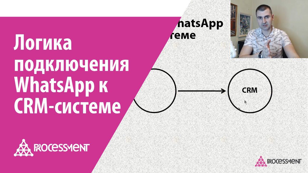 Crm ватсап. Crm ватсап