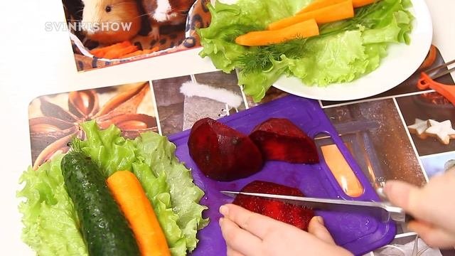 DIY: Лакомство Для Морских Свинок / SvinkiShow