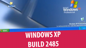 Windows XP Professional build 2485