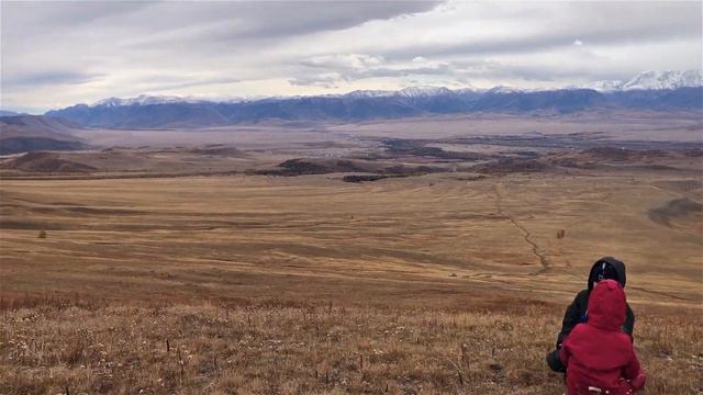 Курайская степь