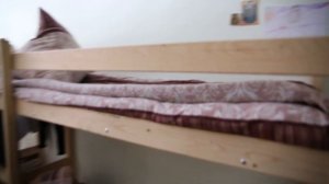 Реабилитационный центр