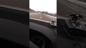 Свист Шкода Октавия