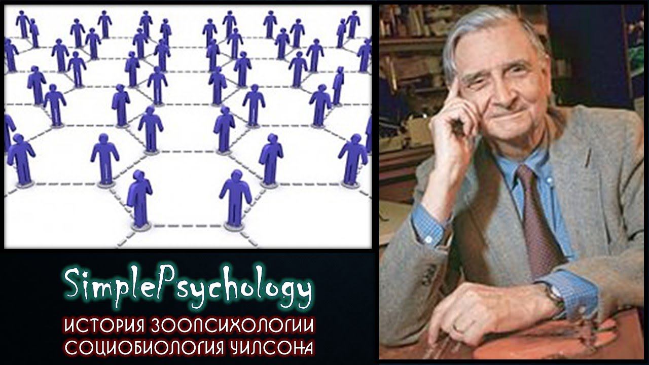 История зоопсихологии. Социобиология Уилсона.