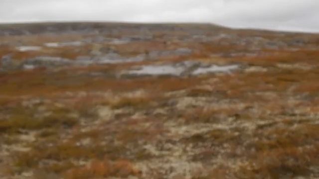 Каменный город реки Белый Кечвож / Северный Тиман смотреть онлайн