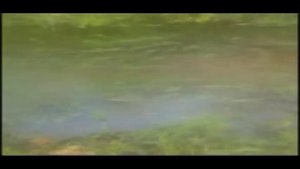 Ручей, текущий в гору