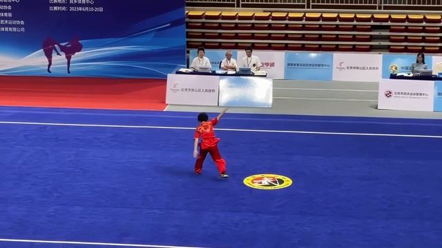 [2023] Chen Huiying - Nanquan - 19th Asian Games China Trials смотреть онлайн