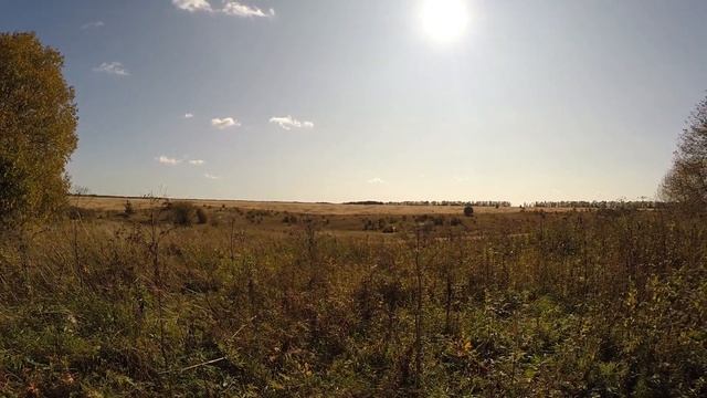 Деревня в Нижегородской области! Осталось одиннадцать  домов! / ОБЗОР ДЕРЕВНИ. /