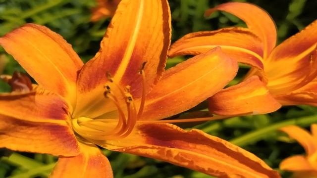 9 примет: Что нельзя никогда делать