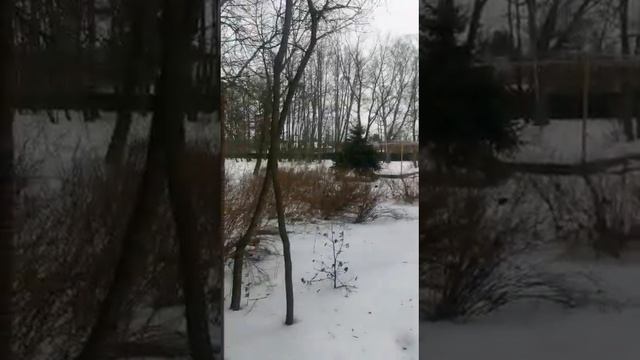 Рассказ о пребывании в усадьбе "Бутурлиных-Зубовых" Елизаветы Петровны (дочери Петра I) смотреть онлайн