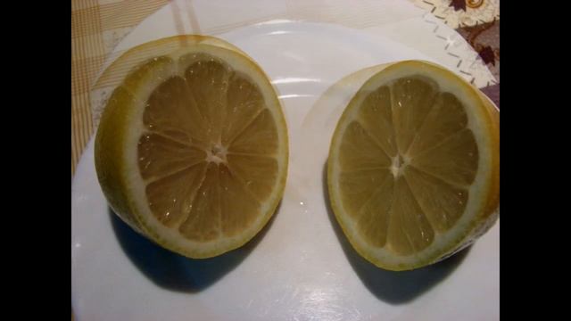 Собираем урожай лимонов. Комнатный лимон. How to Harvest a Lemon Tree: Unbelievable Fruit!