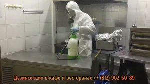 Дезинсекция в кафе - санитарная служба Дезбалт