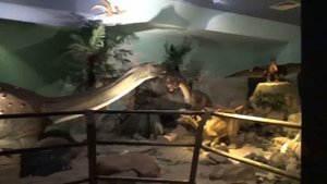 ВЛОГ Стамбул играем в лунном песке Jurassic Land