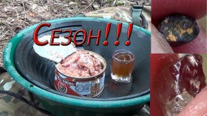 Золото в магнетите!!! Первый весенний поиск!!!