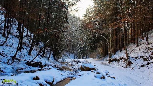 Spre culmi de munte / Szemem az Úr hegyein pihen - Melhisedec Cristian Dan смотреть онлайн