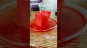 набор для выращивания кристаллов за 250 р.