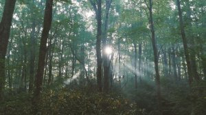 There is none like You - Prayer music.Relaxing Instrumental Piano Song. Peaceful instrumental music