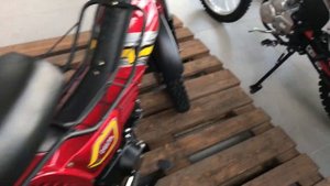 Мопед Motoland Delta 50cc (ПТС) глобус-экстрим