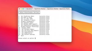 УСТАНОВКА macOS BIG SUR НА НЕСОВМЕСТИМЫЙ MAC