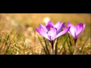 Meditation Music Sitar - Sahaja Yoga