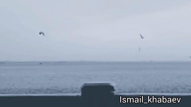 Хабаев Исмаил - (поэзия, лирика, стих на чеченском) chechen poetry смотреть онлайн